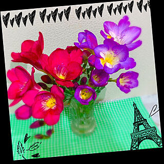 庭に咲いた花/フリージア/玄関/入り口のインテリア実例 - 2019-04-15 20:51:31