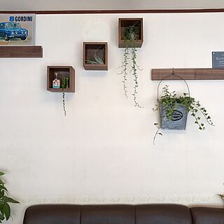 リビング/壁に付けられる家具/無印良品/観葉植物のインテリア実例 - 2017-04-10 10:16:44
