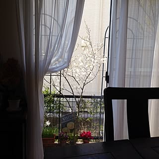 リビング/ジューンベリー♡/ダイニングテーブルからの眺めのインテリア実例 - 2014-04-08 08:42:04