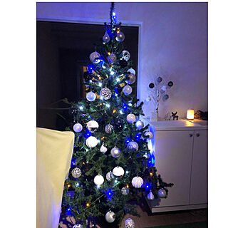 クリスマスツリー☆/皆さま、いつもありがとう♡/LEDライト/玄関/入り口のインテリア実例 - 2020-12-01 17:34:11