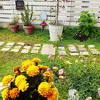 ダイカンドラのインテリア実例 Roomclip ルームクリップ ダイカンドラのインテリア実例 Roomclip ルームクリップ