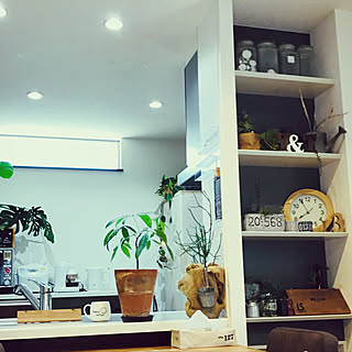 棚/観葉植物/DIY/雑貨/100均...などのインテリア実例 - 2018-05-15 18:01:04