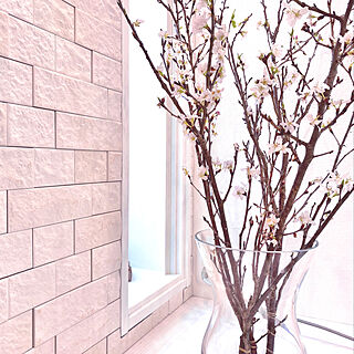 花のある暮らし/ホワイトインテリア/シンプルインテリア/お花見/桜...などのインテリア実例 - 2020-03-16 13:48:44