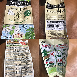 ニオイが少ない粒タイプ/BotaNice/多肉植物/観葉植物/モニター商品...などのインテリア実例 - 2019-04-27 22:06:28