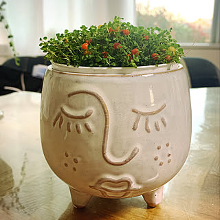 こけさんごのインテリア実例 Roomclip ルームクリップ