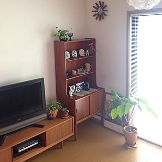 部屋全体/観葉植物/アラビア ヴィンテージ/植物/北欧インテリア...などのインテリア実例 - 2016-05-24 08:06:13