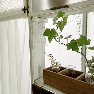 ガラス瓶/ミニチュア雑貨/DIY棚/植物/窓辺...などのインテリア実例 - 2015-05-05 07:39:10