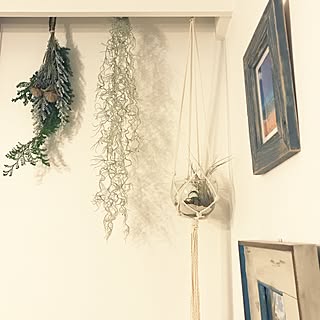 スワッグ/DIY/西海岸/カリフォルニアスタイル/観葉植物...などのインテリア実例 - 2016-11-13 12:47:02