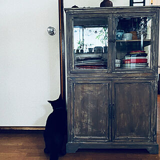 食器棚DIY/食器棚/墨黒が好き/黒が好き/黒猫...などのインテリア実例 - 2022-10-15 07:42:16