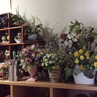 玄関/入り口/ハンドメイド/観葉植物/フェイクグリーン/多肉植物...などのインテリア実例 - 2016-04-24 09:22:01