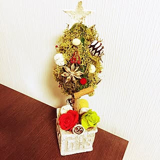 棚/トピアリー/モス/クリスマス/handmade*...などのインテリア実例 - 2016-11-19 01:17:48