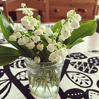 お花で癒しを♡/お庭の花/パイン家具/ランチョンマット手作り/花のある暮らし...などのインテリア実例 - 2019-05-10 13:08:59