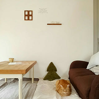 しまむらのラグ 猫と暮らすのインテリア実例 Roomclip ルームクリップ