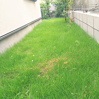 部屋全体/部屋全体ではありません/にわ/むしろ外。/芝...などのインテリア実例 - 2018-07-11 21:52:37