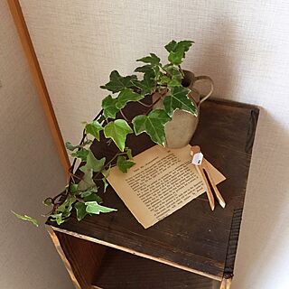 古い花器/古い棚/洋書/nontanに頂いたクリップ/植物...などのインテリア実例 - 2015-05-10 07:55:48