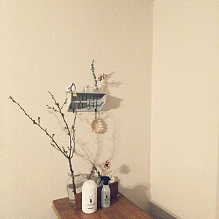 壁/天井/natural kitchen/吉野桜/桜の枝/花のある暮らし...などのインテリア実例 - 2022-04-05 23:08:29