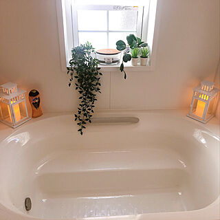 観葉植物 お風呂場の窓のおしゃれなアレンジ 飾り方のインテリア実例 Roomclip ルームクリップ