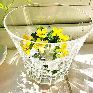 花が好き♪/花の写真/花のある暮らし/バカラ グラス/バカラのグラス...などのインテリア実例 - 2020-04-17 14:29:48
