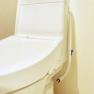 お掃除楽々♪/スクラビングバブル流せるトイレブラシ/スクラビングバブル/シンプルデザイン/家事ラク...などのインテリア実例 - 2021-12-09 08:01:09