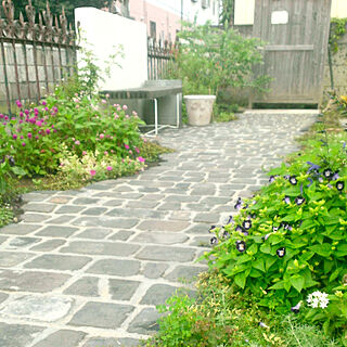 庭/パリの石畳に憧れて/ガーデン/ガーデニング/アンティークレンガ...などのインテリア実例 - 2021-06-10 19:42:33