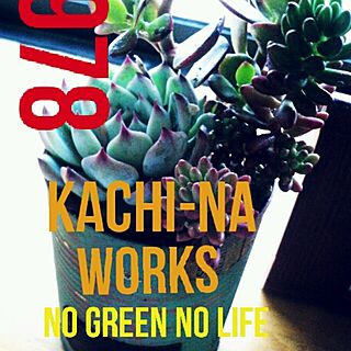 バス/トイレ/多肉/KACHI-NA WORKS/リメ缶/出窓のグリーンのインテリア実例 - 2014-05-18 23:29:44