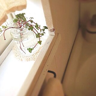 バス/トイレ/手作り窓枠/DIY/植物のインテリア実例 - 2013-12-13 14:13:21