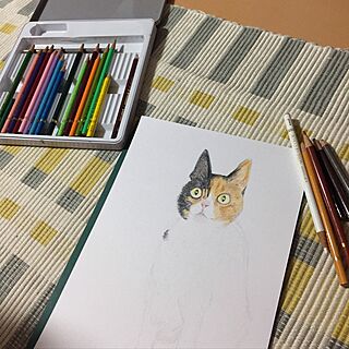 リビング/ねこと暮らす。/イラスト/途中経過…/色鉛筆画...などのインテリア実例 - 2017-06-25 01:47:09