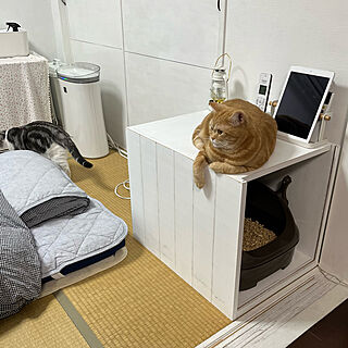 猫ちゃん想い/ねこと暮らす/ニャンとも清潔トイレ/ねこのいる日常/猫トイレ...などのインテリア実例 - 2022-06-08 19:15:08