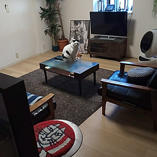 出窓 男の趣味部屋のおしゃれなインテリアコーディネート レイアウトの実例 Roomclip ルームクリップ