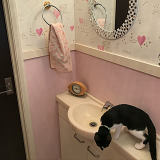 トイレのインテリア/ねこが好き/ねこと暮らす。/ねこと暮らす/わが家のドア...などのインテリア実例 - 2022-03-03 19:52:44