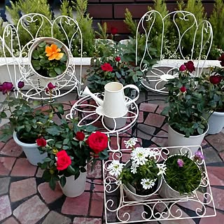 アイアンカントリーウェルカムフラワーラック