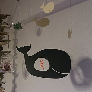 壁/天井/Flensted Mobiles/モビール/一人暮らし/賃貸...などのインテリア実例 - 2014-02-02 20:24:40