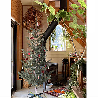 植物と暮らす/キリム/ドライフラワー/IKEAクリスマスツリー/クリスマス...などのインテリア実例 - 2022-12-09 14:52:19