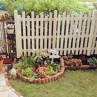 雑草のインテリア実例 Roomclip ルームクリップ