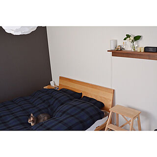 ベッド周り/ベッド/IKEA/猫と暮らす/ねこのいる日常...などのインテリア実例 - 2019-01-30 16:04:50