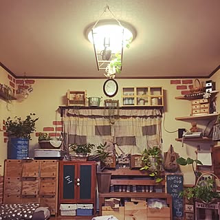 部屋全体/勝手にフォローごめんなさいෆ̈/ダイソー/観葉植物/DIY...などのインテリア実例 - 2016-05-11 18:54:41