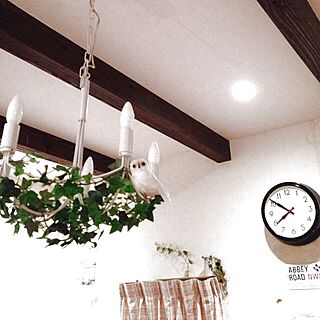 壁/天井/フクロウさん/フェイクグリーン/時計/植物...などのインテリア実例 - 2013-11-26 19:53:36