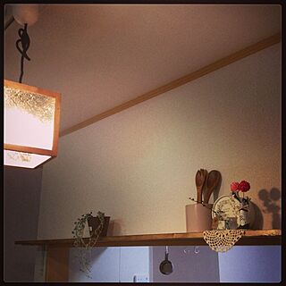 壁/天井/飾り棚/DIY/照明/雑貨...などのインテリア実例 - 2013-01-04 19:12:49