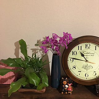 静かな夜/玄関/入り口/ニトリ/蒼い花瓶/アンティーク風時計のインテリア実例 - 2019-05-18 22:48:21