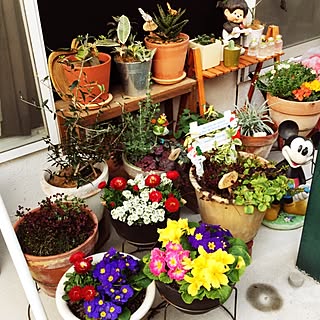 gardening★のインテリア実例 - 2015-03-07 17:28:56