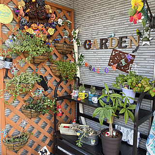Helloween/kimuraruさんのリース/DAISO雑貨/色んなグリーンに囲まれて/観葉植物のある暮らし...などのインテリア実例 - 2019-10-11 08:44:19