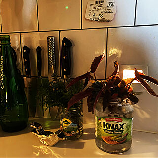 ピクルスの空き瓶/ピクルスが好き/キッチンのインテリア実例 - 2021-12-21 10:52:48