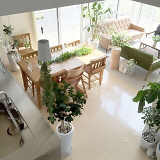 部屋全体/観葉植物/花のある生活/ボタニカル/ボタニカルインテリア...などのインテリア実例 - 2016-03-01 14:24:51