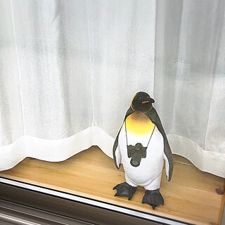 雑貨好き/雑貨/キングペンギン/ペンギン/LIXIL窓...などのインテリア実例 - 2020-02-12 09:56:59