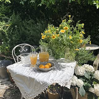 頂き物の花/庭の花/蜂蜜レモン漬け/アンティークガーデンチェア/アンティーククロス...などのインテリア実例 - 2023-04-28 15:58:28