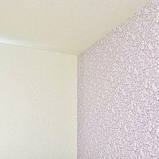 壁紙/壁/天井のインテリア実例 - 2022-07-28 14:09:33