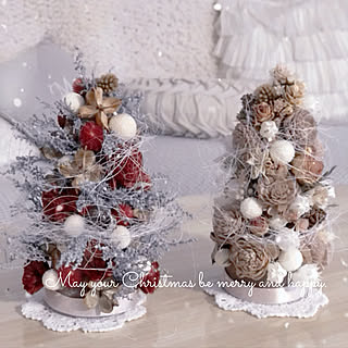 プロフ必読♡ドライフラワーのホワイト＊レッド クリスマスアレンジ