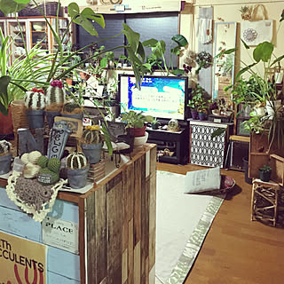 部屋全体/簡単リメイク/簡単DIY/NO GREEN NO LIFE/観葉植物...などのインテリア実例 - 2017-08-08 07:05:53