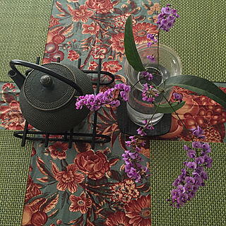 ツル科の植物✨/インテリア/花のある暮らし/可愛いお花/花柄のテーブル...などのインテリア実例 - 2023-03-16 14:20:30