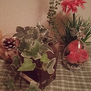 玄関/入り口/NO GREEN NO LIFE/建て売りだけど…可愛くしたい(^^;/植物/植中毒♡...などのインテリア実例 - 2016-05-28 20:41:09